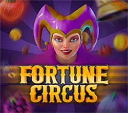 Machines à sous dans notre casino 1